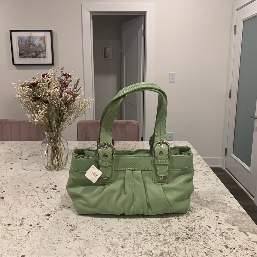 Coach F13732 Pistachio Purse